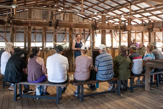 Nogo Station Experience - Captain Starlight’s stockyards and bush camp smoko