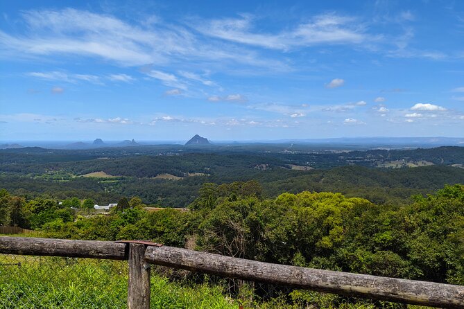 Noosa, Aussie Animals & Glass House Mountains from Brisbane - Nutworks and the Chocolate Factory plus Ginger Factory breaks