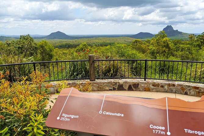 Noosa, Aussie Animals & Glass House Mountains from Brisbane - Who this tour suits best (and who should reconsider)