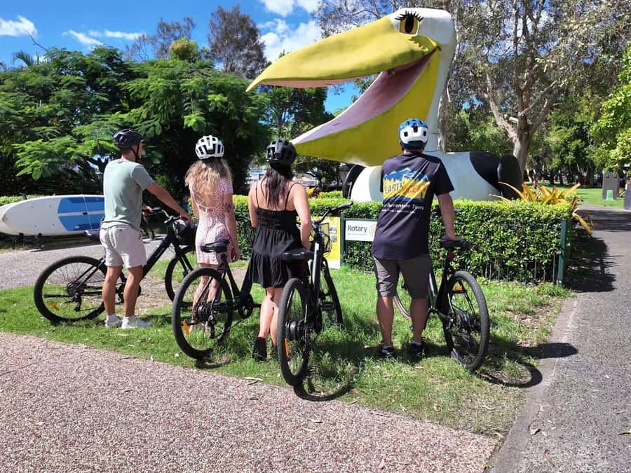 Noosa: E-Bike Tour from Mt Tinbeerwah to Noosa - Past Rainforest, Toward Rivers and Wetlands