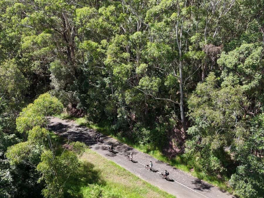 Noosa: E-Bike Tour from Mt Tinbeerwah to Noosa - Price and Value: What $126 Buys You