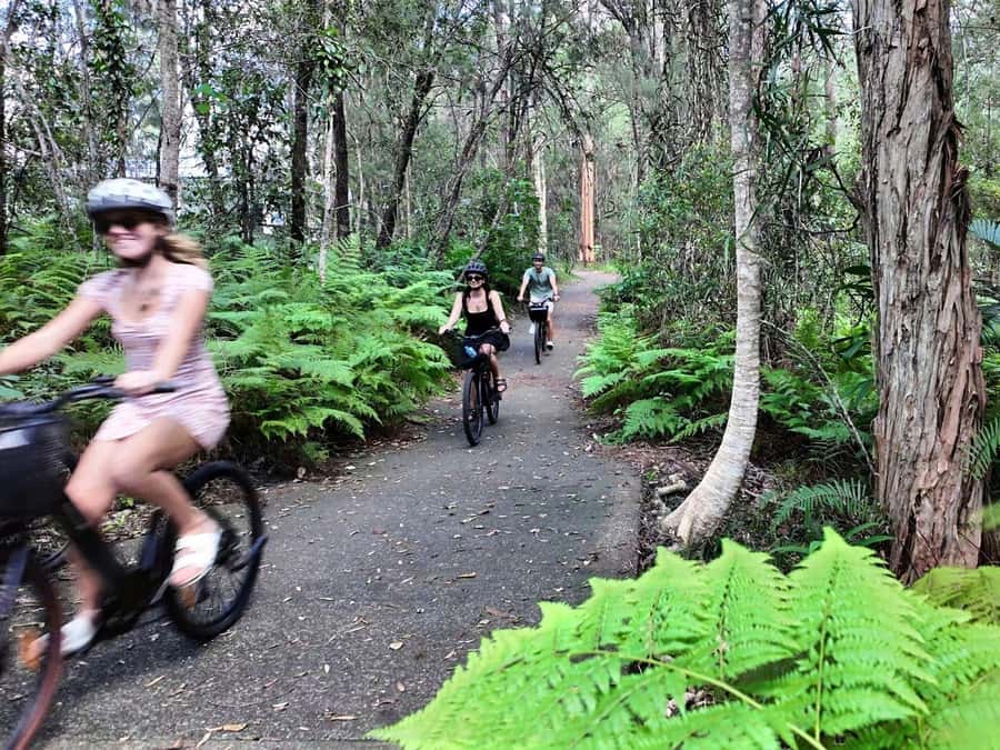 Noosa: E-Bike Tour from Mt Tinbeerwah to Noosa - Meeting at Earth and Ocean and What You’ll Actually Do