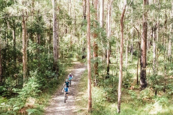 Noosa eMtn Bike Tour: Exploring a National Park on Fun MTB Trails - Key points to know before you pedal
