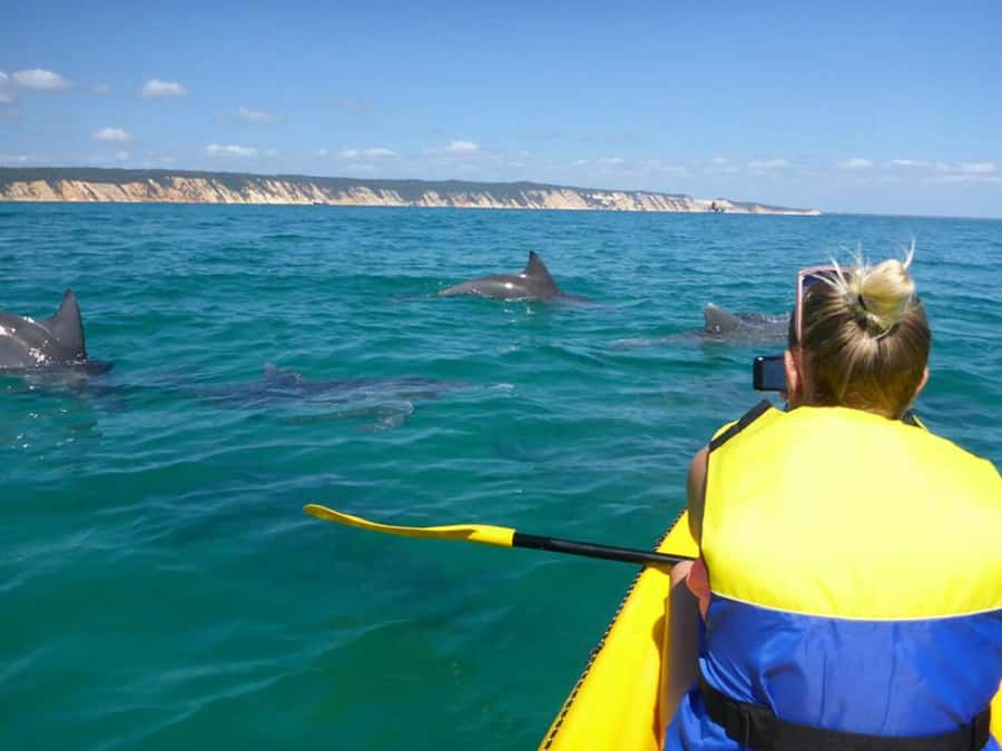 Noosa: Epic Ocean Kayak with Dolphins & 4WD Beach Adventure - Key highlights worth planning for