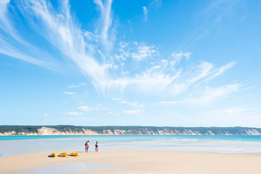 Noosa: Epic Ocean Kayak with Dolphins & 4WD Beach Adventure - Meeting wildlife expectations: the guide factor