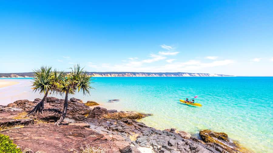 Noosa: Epic Ocean Kayak with Dolphins & 4WD Beach Adventure - Surf, sea state, and comfort in a 6-hour ocean day