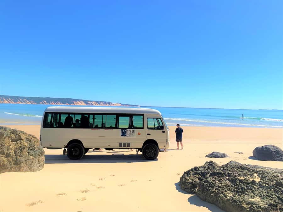 Noosa: Epic Ocean Kayak with Dolphins & 4WD Beach Adventure - Who should book this (and who should skip it)