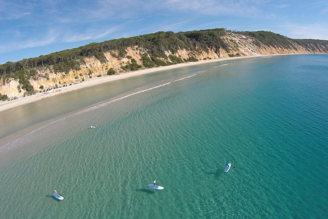 Noosa: Epic Stand Up Paddle Wildlife & Beach 4X4 Adventure - Key takeaways before you go