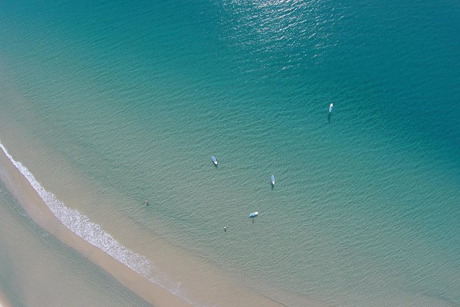 Noosa: Epic Stand Up Paddle Wildlife & Beach 4X4 Adventure - The 4WD Great Beach Drive: Fun, Scenic, and Actually Useful
