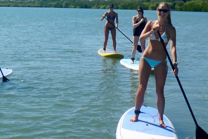 Noosa: Epic Stand Up Paddle Wildlife & Beach 4X4 Adventure - Wildlife Spotting: Sea Turtles, Dolphins, Stingrays (and the Honest Reality)