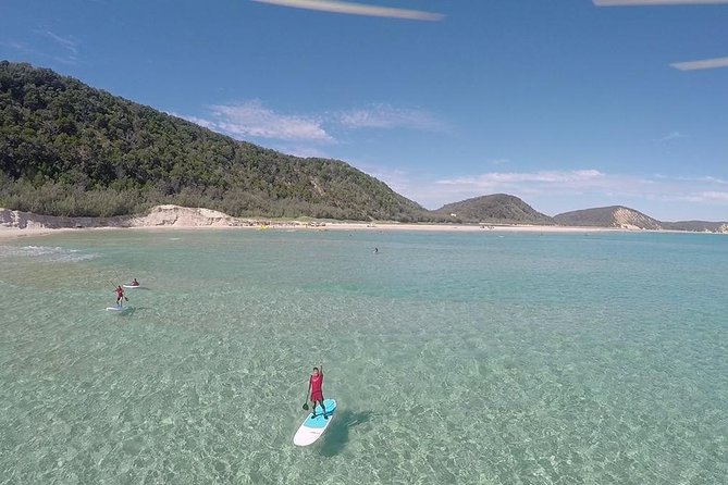 Noosa: Epic Stand Up Paddle Wildlife & Beach 4X4 Adventure - Stops, Instruction, and How You’ll Spend Your Time