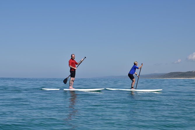 Noosa: Epic Stand Up Paddle Wildlife & Beach 4X4 Adventure - SUP at Double Island Point: What the Lesson Really Gives You