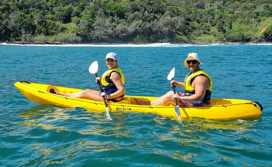Noosa: Epic Whale Watching Ocean Kayak Tour & Beach 4X4 - What wildlife you might see besides humpbacks