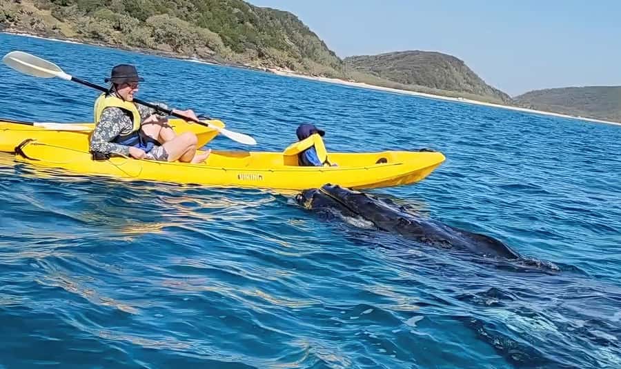 Noosa: Epic Whale Watching Ocean Kayak Tour & Beach 4X4 - The day’s flow: from The J Noosa Theatre to whale watching