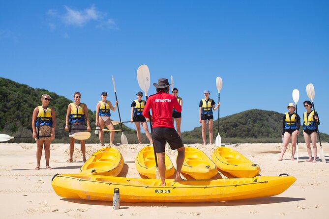 Noosa: Epic Whale Watching On Ocean Kayaks & Beach 4X4 Tour - Wildlife on the way to whales: the payoff even when they’re far out