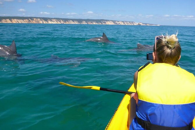 Noosa: Epic Whale Watching On Ocean Kayaks & Beach 4X4 Tour - Swimming included: when it makes sense and when you should be cautious