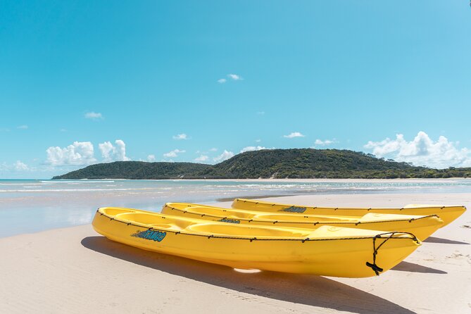Noosa: Epic Whale Watching On Ocean Kayaks & Beach 4X4 Tour - What it costs and why $123.37 can still be good value