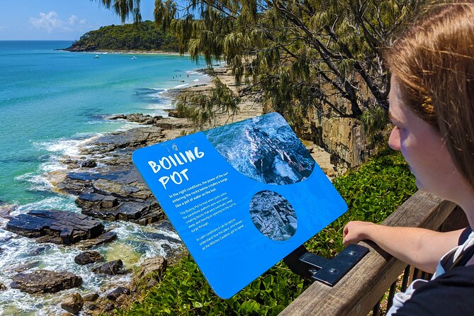 Noosa, Eumundi Markets, Glass House Mountains from Brisbane - Key things you’ll notice on this Sunshine Coast loop