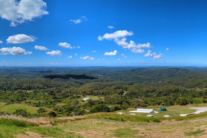 Noosa, Eumundi Markets, Glass House Mountains from Brisbane - Noosa National Park: rainforest and headland walking time