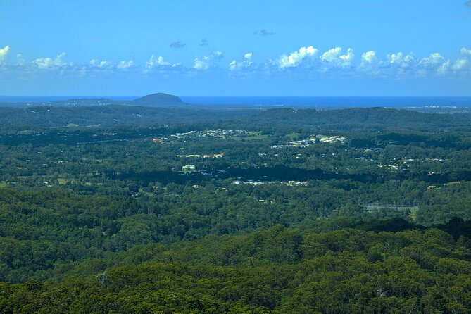 Noosa, Eumundi Markets, Glass House Mountains from Brisbane - Nutworks and The Ginger Factory: sweet breaks with real-purpose stops