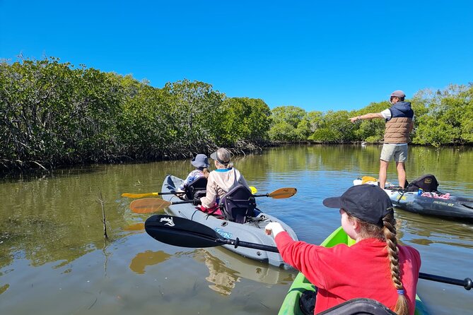 Noosa Everglade Kayak -South/Noosa End - Searching for Stingrays! - Key things to know before you go