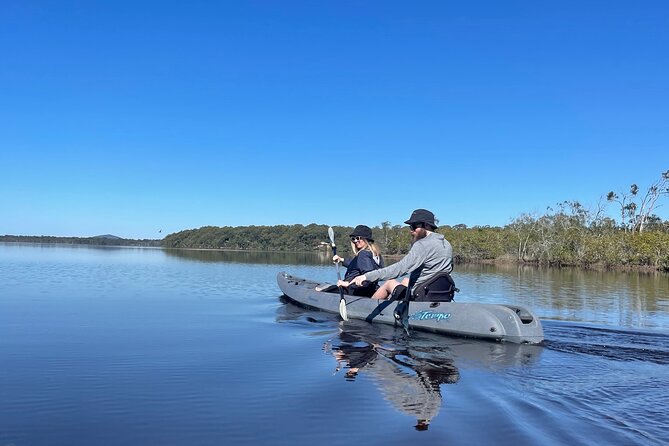 Noosa Everglade Kayak -South/Noosa End - Searching for Stingrays! - Kayaking the Noosa Everglades from Lake Weyba