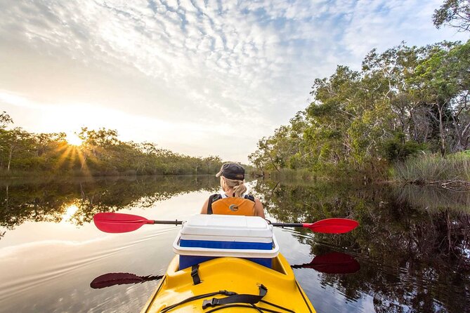 Noosa Everglade Kayak -South/Noosa End - Searching for Stingrays! - Guided attention in a max-11 group