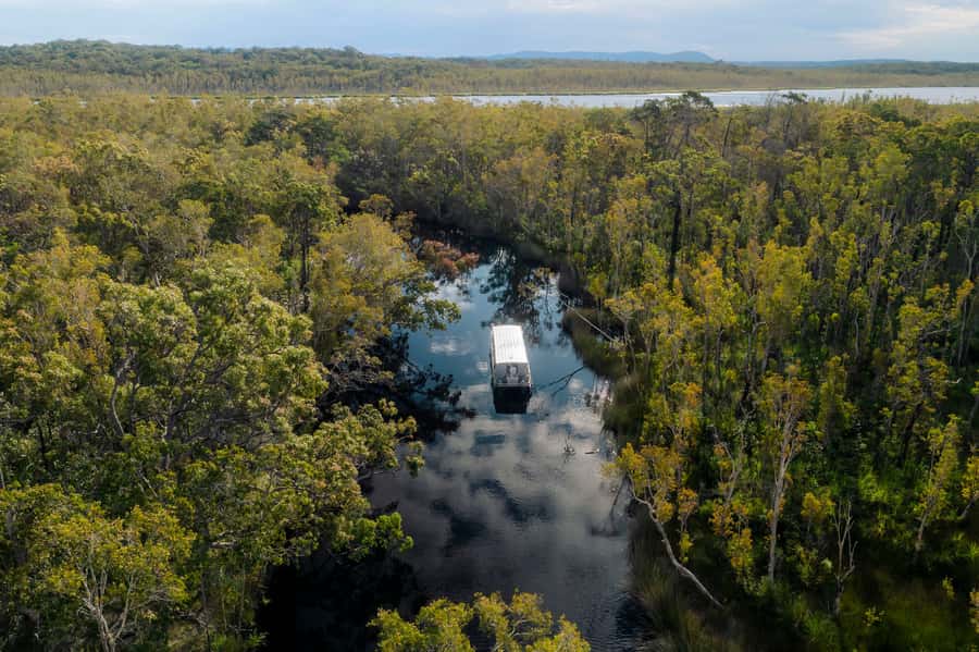 Noosa: Everglades Explorer Cruise - Eco-boat comfort plus optional canoe power: choose your pace