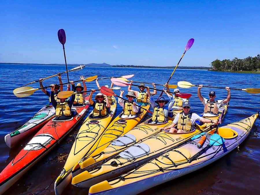 Noosa Everglades: Truly Sustainable Self Guided KAYAK Tour - Noosa Everglades by kayak: why this water and wildlife feel different