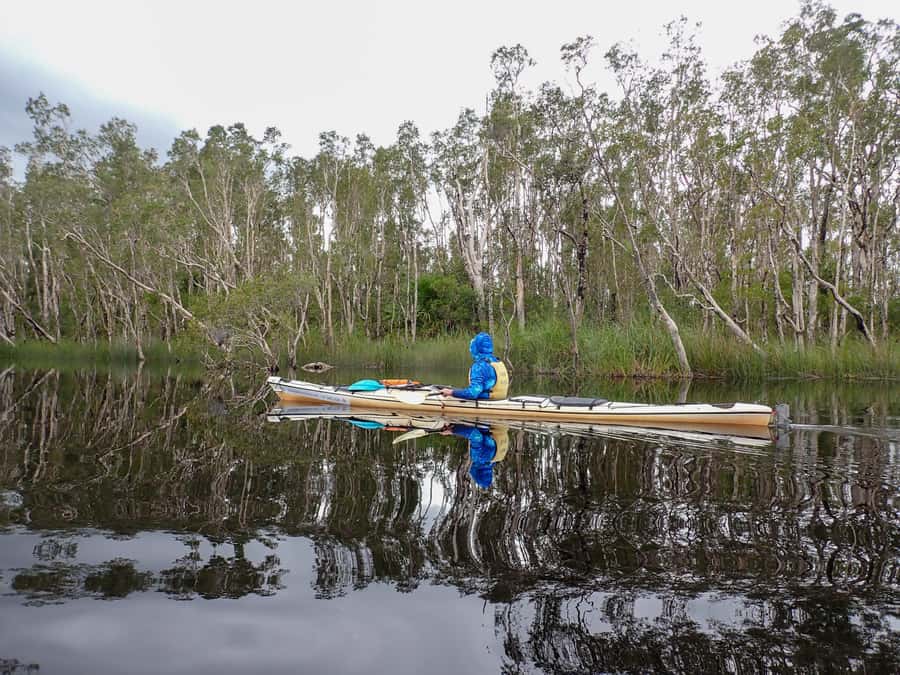 Noosa Everglades: Truly Sustainable Self Guided KAYAK Tour - Sustainable by design: what “truly sustainable” means here