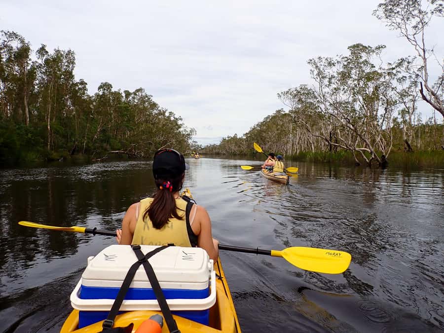 Noosa Everglades: Truly Sustainable Self Guided KAYAK Tour - Getting there from Noosa: the Boreen Point canoe launch setup
