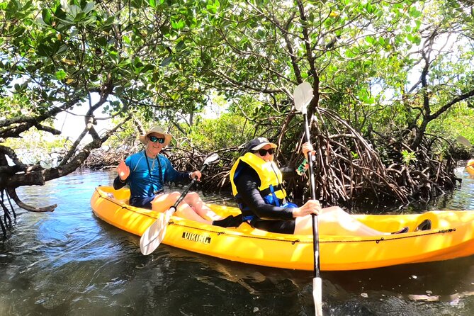 Noosa Heads: Epic Hidden Waterways & Wildlife Kayak Tour - Key things to know before you go
