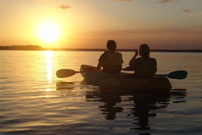 Noosa Heads: Epic Hidden Waterways & Wildlife Kayak Tour - Stop 2: Lake Weyba—mangrove tunnels, wildlife spotting, and a cool-off option