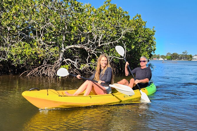 Noosa Heads: Epic Hidden Waterways & Wildlife Kayak Tour - Price and value: why about $42 feels fair for what you get