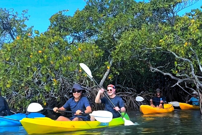 Noosa Heads: Epic Hidden Waterways & Wildlife Kayak Tour - The Noosa Heads wildlife focus: stingrays, birds, and more