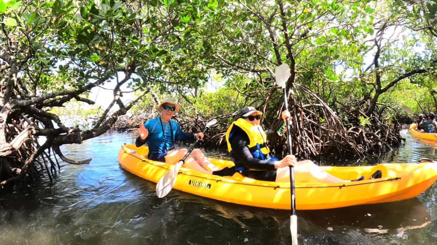 Noosa Heads: Hidden Waterways Wildlife Kayak (Self-Guided) - Key Things You’ll Notice on the Water