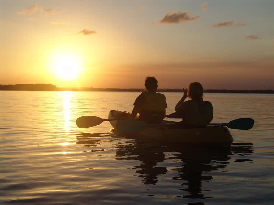 Noosa Heads: Hidden Waterways Wildlife Kayak (Self-Guided) - Sit-on-Top Kayaks: Easy Control for a Two-Hour Paddle
