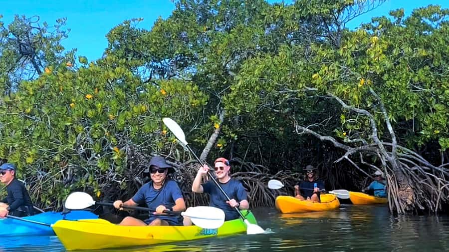 Noosa Heads: Hidden Waterways Wildlife Kayak (Self-Guided) - Self-Guided Kayaking That Still Feels Supported