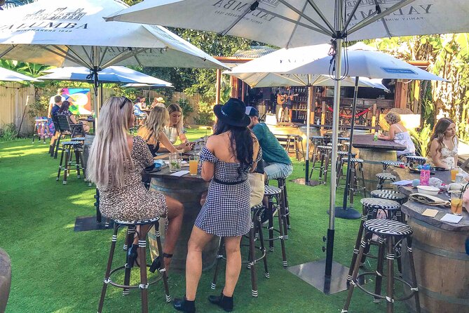 Noosa Hinterland Drinks Private Tour with Gin, Beer, Mead & Wine Tastings - Dingo Creek Vineyard: wine with cheese and time to slow down