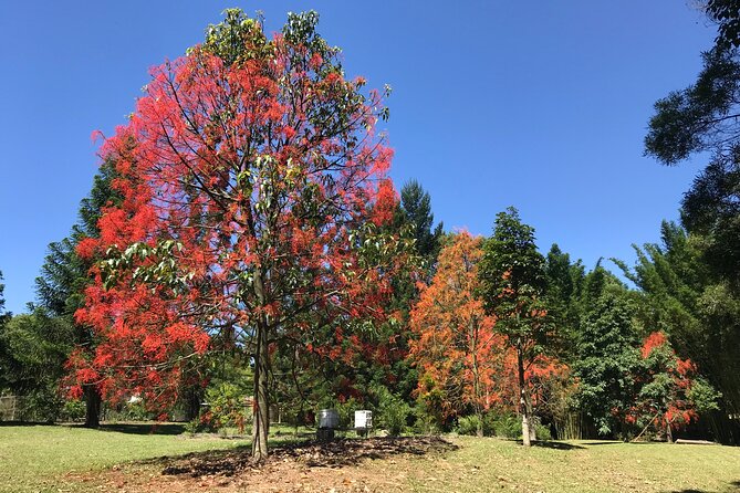 Noosa Hinterland Tour with Lunch, Wine & Cheese Tasting & more - Kin Kin Country Town Stop: A Little Piece of Old Queensland