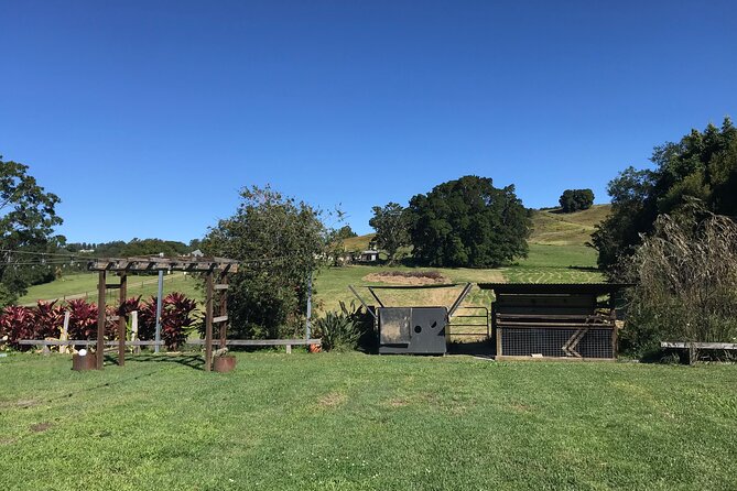Noosa Hinterland Tour with Lunch, Wine & Cheese Tasting & more - Amrita Park Meadery: Three Generations and a Tasting Focus