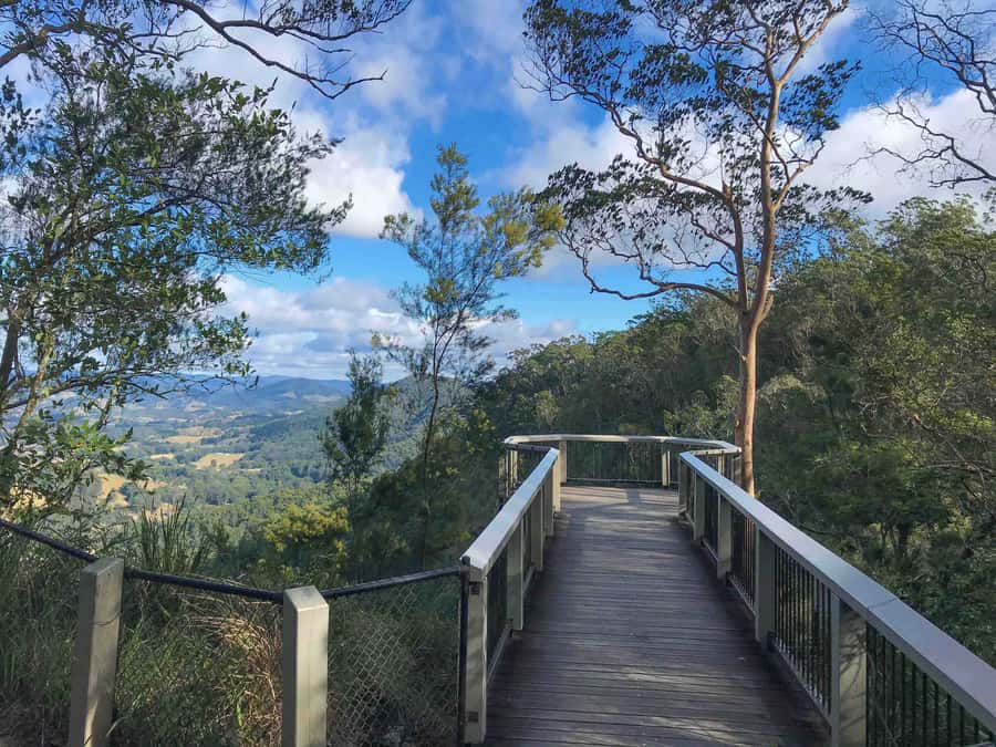 Noosa: Maleny & Montville Tour with Lunch & Wine Tasting - Key reasons this Maleny and Montville tour works so well