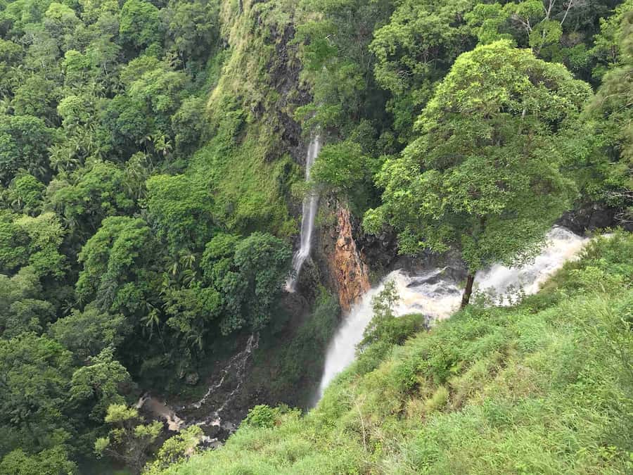 Noosa: Maleny & Montville Tour with Lunch & Wine Tasting - Mapleton Falls coffee/tea and the Blackall Range ridgeline vibe