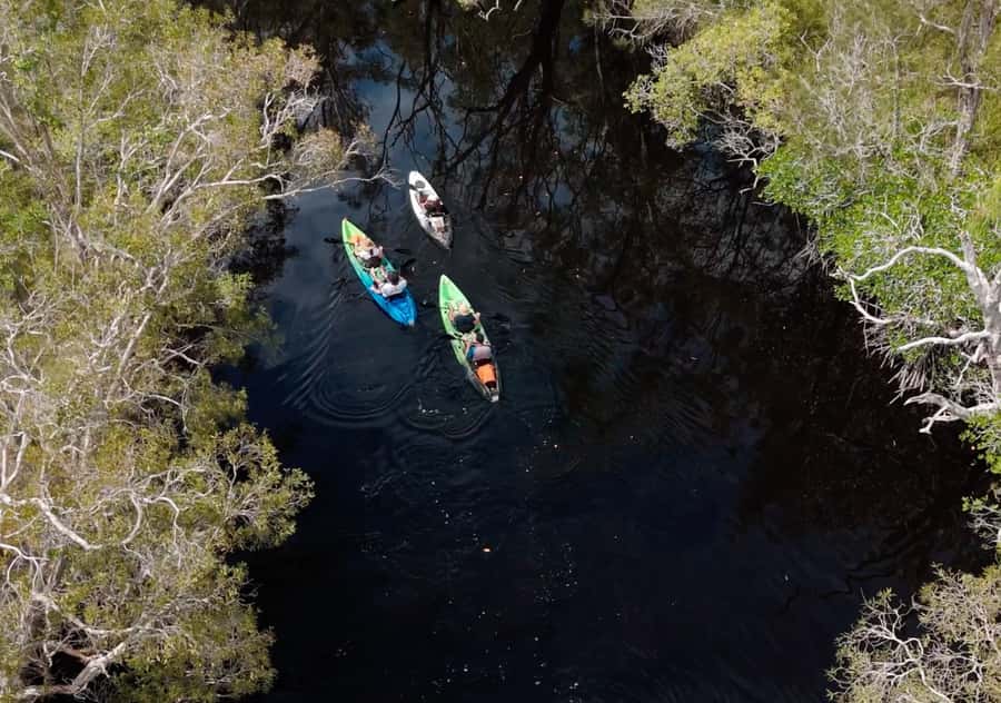 Noosa: Noosa Everglades and Stingray Sanctuary Kayak Tour - Noosa Everglades Kayak Tour: Why Lake Weyba Feels Like Another World