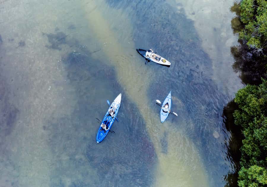 Noosa: Noosa Everglades and Stingray Sanctuary Kayak Tour - Meeting Point and Timing: The 3 Hours That Add Up