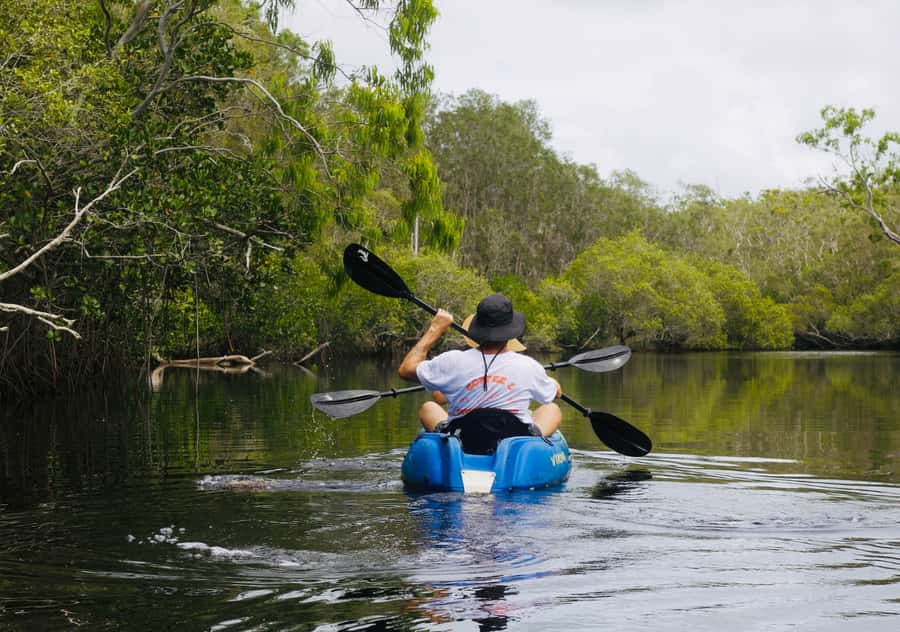 Noosa: Noosa Everglades and Stingray Sanctuary Kayak Tour - What’s Included vs. What You Must Bring