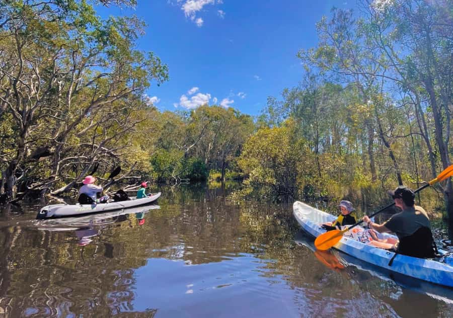 Noosa: Noosa Everglades and Stingray Sanctuary Kayak Tour - Guides, Group Size, and the Feel of the Tour