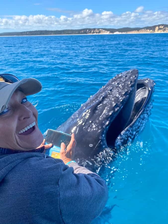 Noosa; Noosa Ocean Adventures - Whale Watching - Small boat, fast pace: comfort and safety that actually matter