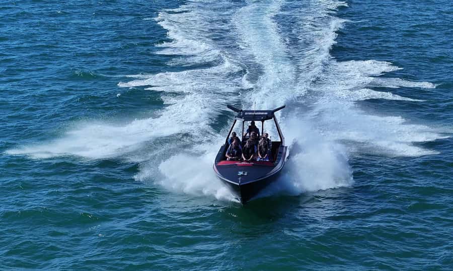 Noosa; Noosa Ocean Adventures - Whale Watching - What to pack for Noosa whale watching (keep it simple)