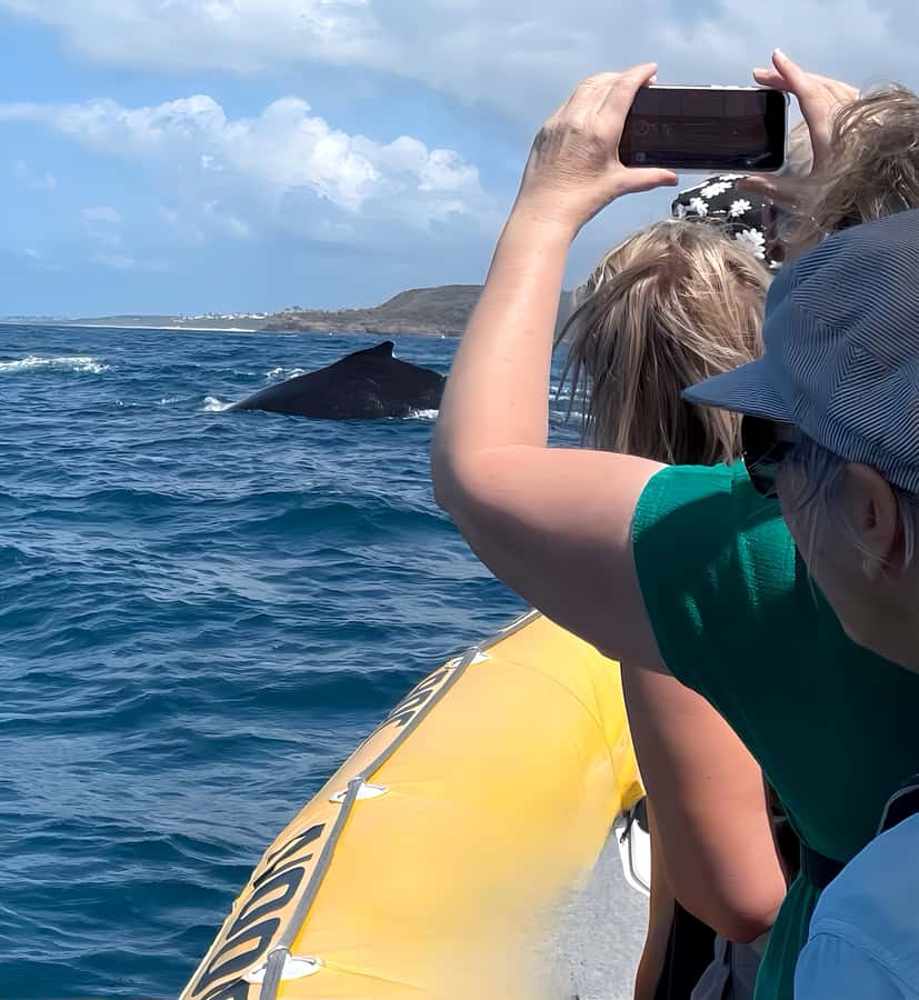 Noosa: Noosa Whale Watching Tour - What’s included: binoculars, rain jackets, and the gear that matters